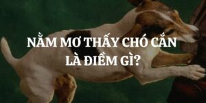 nam-mo-thay-cho-can-vao-tay-danh-so-gi-giai-ma-chi-tiet-con-so-may-man1