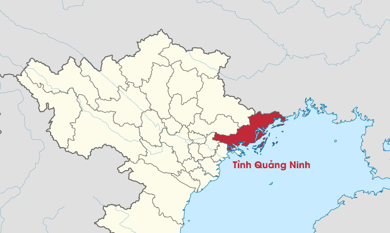 tinh-nao-co-nhieu-thanh-pho-nhat-viet-nam-cap-nhat-moi-nhat-20264