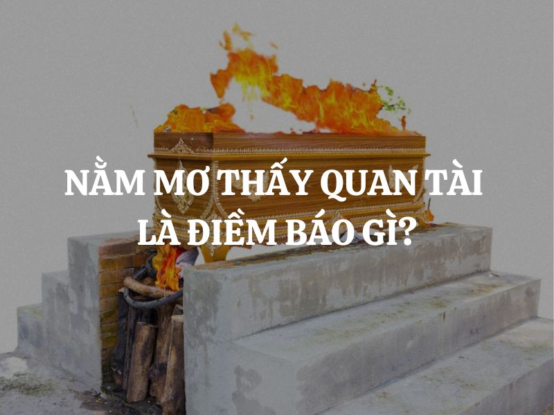 nam-mo-thay-quan-tai-diem-gi-giai-ma-chi-tiet-bi-an-tai-loc-va-cat-tuong-2026 1