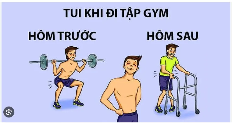 ly-giai-doms-la-gi-trong-tap-ta-a1
