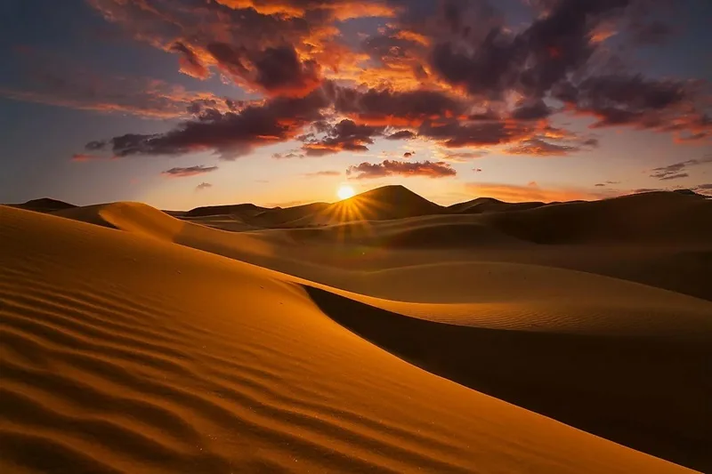Châu Phi nổi tiếng với sa mạc Sahara rộng lớn và hệ sinh thái hoang dã phong phú.